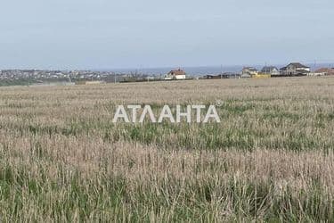 Landplot by the address (area 10 acr) - Atlanta.ua - photo 14