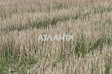 Landplot by the address (area 10 acr) - Atlanta.ua - photo 15