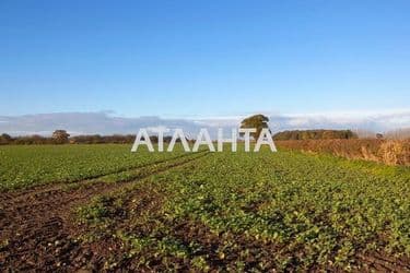 Ділянка за адресою вул. Паркова (площа 11,9 сот) - Atlanta.ua - фото 14