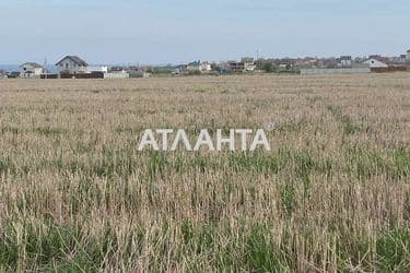 Landplot by the address (area 6 acr) - Atlanta.ua - photo 16