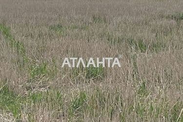 Landplot by the address (area 5 acr) - Atlanta.ua - photo 11