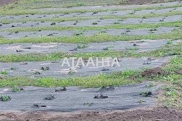 Будинок за адресою вул. Донбасівська (площа 74 м²) - Atlanta.ua - фото 25