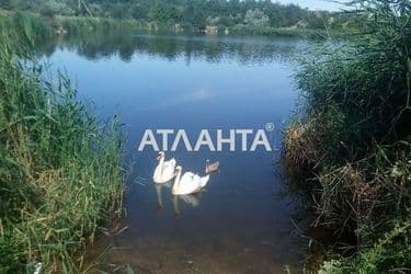 House by the address st. Shevchenko (area 60 m²) - Atlanta.ua - photo 26