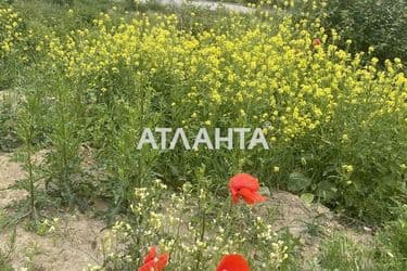 Landplot by the address st. Kozatskaya (area 10 acr) - Atlanta.ua - photo 11