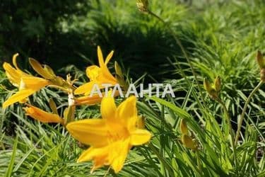 Ділянка за адресою (площа 5 сот) - Atlanta.ua - фото 7
