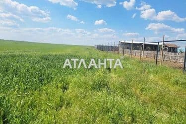 Участок (площадь 50 сот) - Atlanta.ua - фото 18