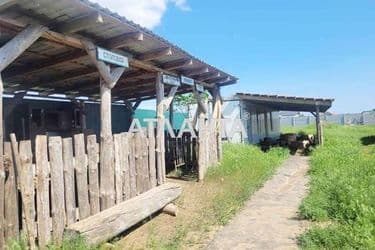 Участок (площадь 50 сот) - Atlanta.ua - фото 23