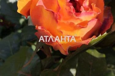 Landplot by the address st. Novoselov (area 4 acr) - Atlanta.ua - photo 10