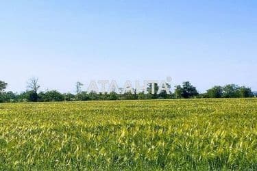 Landplot by the address st. Massiv 13 (area 160 acr) - Atlanta.ua - photo 7