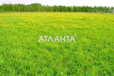 Landplot by the address st. Lenina (area 16 acr) - Atlanta.ua - photo 8