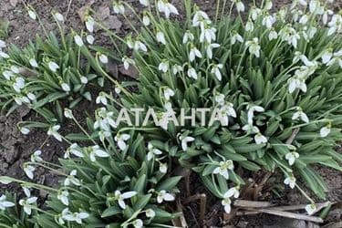 Landplot by the address st. Morskaya (area 15,0 acr) - Atlanta.ua - photo 8