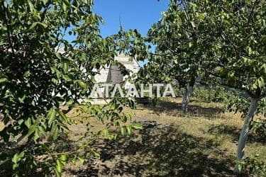 Дом (площадь 0) - Atlanta.ua - фото 16