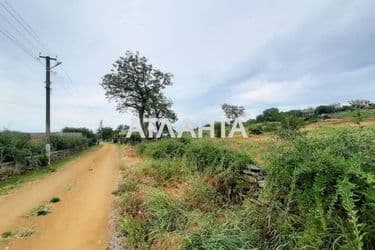 Landplot by the address (area 16,5 acr) - Atlanta.ua - photo 12