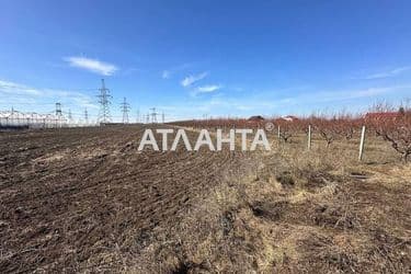 Landplot by the address (area 6,6 acr) - Atlanta.ua - photo 10