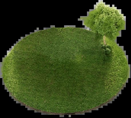 Инвестируй в землю без рисков - фото 4 Инвестируй в землю без рисков - Atlanta.ua - фото 4